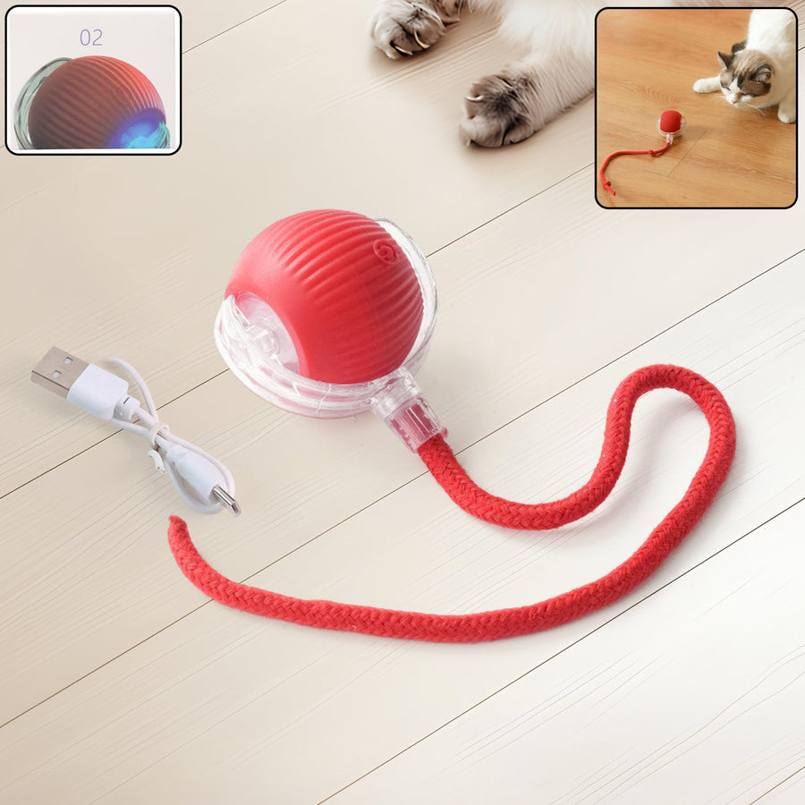 Interactive Cat Toy Ball – LED Light & Detachable Tail