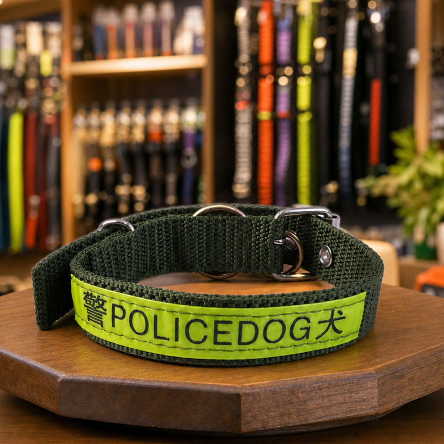 Heavy Duty Nylon Dog Collar – Reflective & Adjustable for Active Dogs